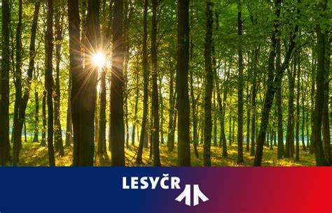 Lesy České republiky, s. p..